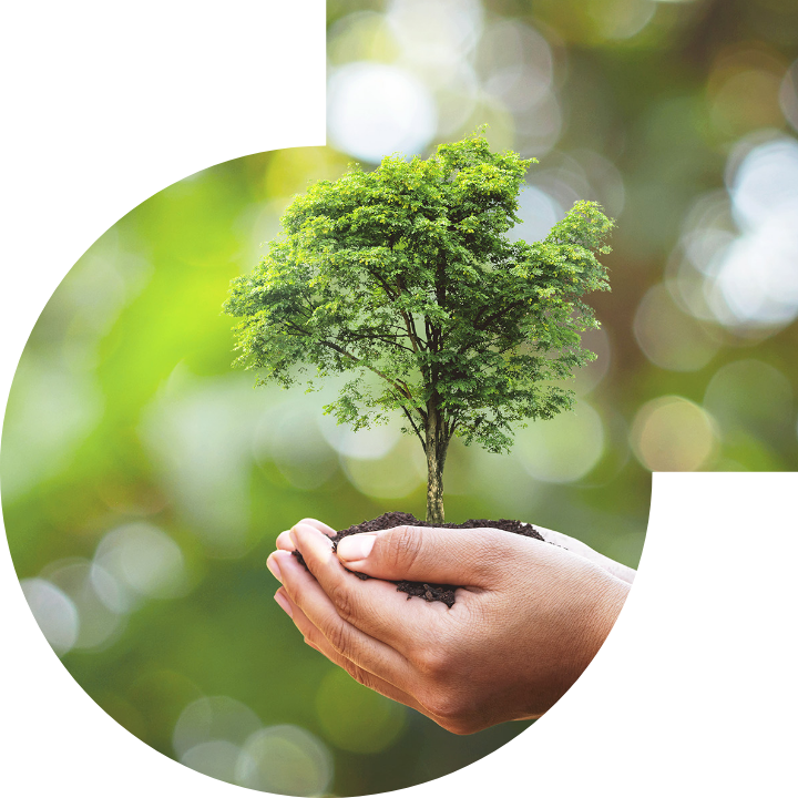 关怀人类、文化、环境与社会